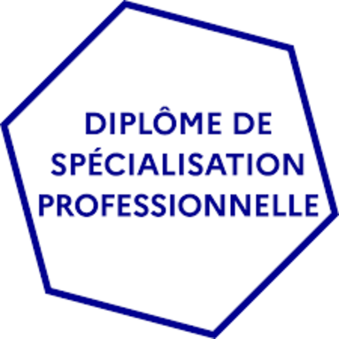 logo DSP.png